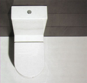 Axa Vaso Monoblocco Toilette