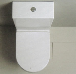 Axa Rond Monoblocco Toilette