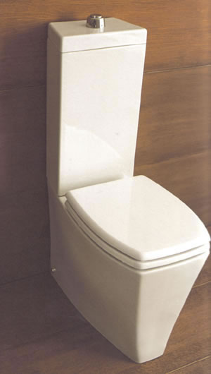 Vitruvit Ice Toilette